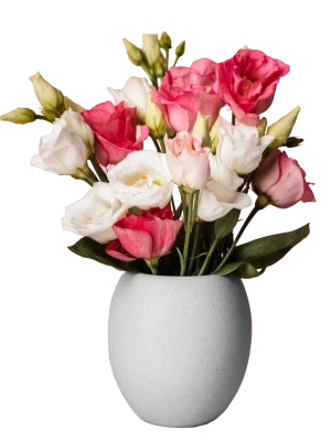 bouquet-roses-vase-pink-wall